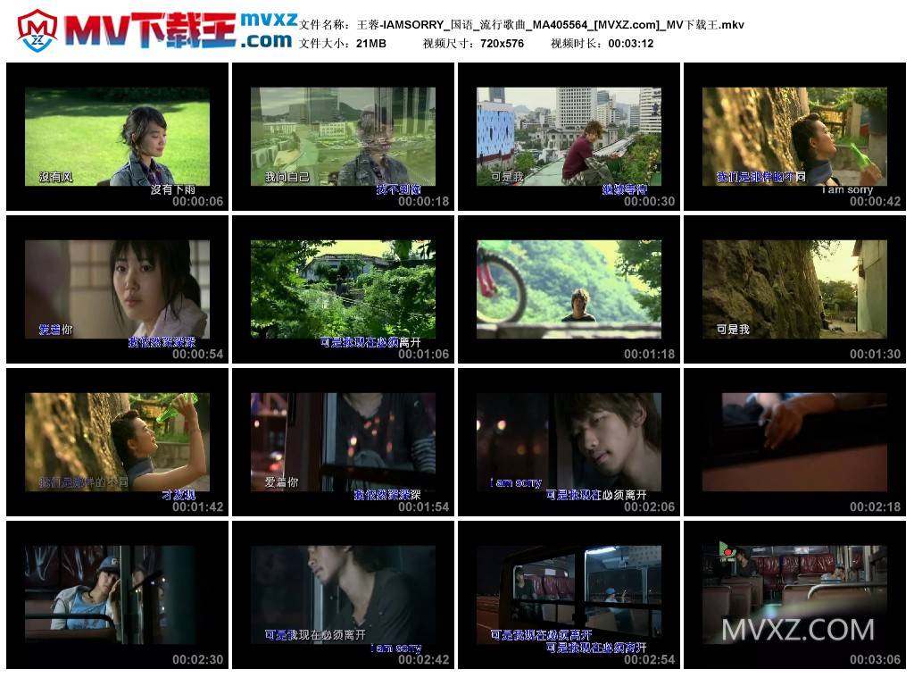 王蓉-IAMSORRY_国语_流行歌曲_MA405564